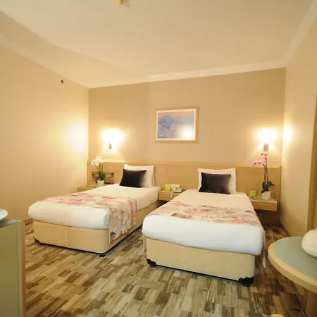 酒店 Sv Business Taksim 4*