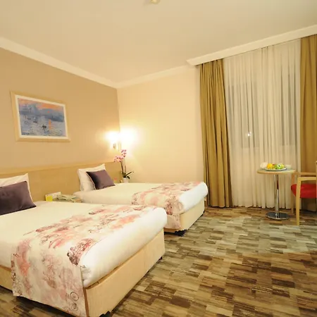 Sv Business Taksim 호텔 4*